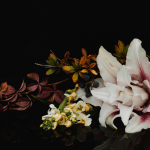 Death Is Not the End: Finding Peace After Loss