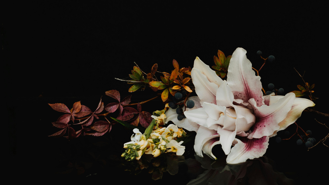 Death Is Not the End: Finding Peace After Loss